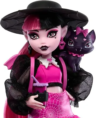 NEW DARK MAKE-UP Monster High Draculaura Doll With Pet Bat-Cat Count Fabulous • $34