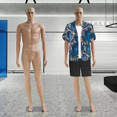 73 Inches Male Full Body Realistic Mannequin Display Head Turns Dress Form Base  • $93.99