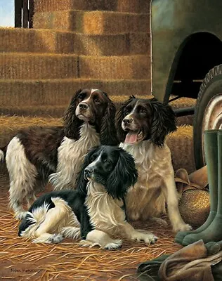 £84 • Buy Nigel Hemming GROUND FORCE Springer Spaniel, Art Canine Ltd Edition  #1