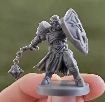 Paladin - Half-orc Male Mini Miniature Figure Dungeons & Dragons Pathfinder D&D • £3.06