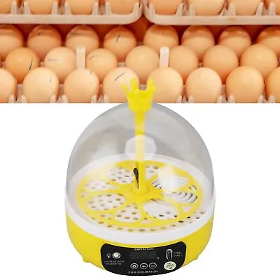 US Automatic Temperature Humidity Control Mini Egg Incubator Auto Turning 4 Eggs • $25.85