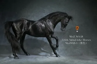 £139.99 • Buy Mr.Z 1/6 MRZ048-5 Akhal-Teke War Horse Animal Model Scene 12in Horse Figure Toy