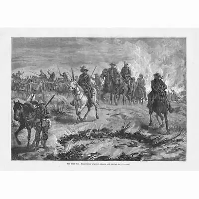 ZULU WAR Volunteers Burning Kraals & Driving Away Cattle - Antique Print 1879 • £13.99