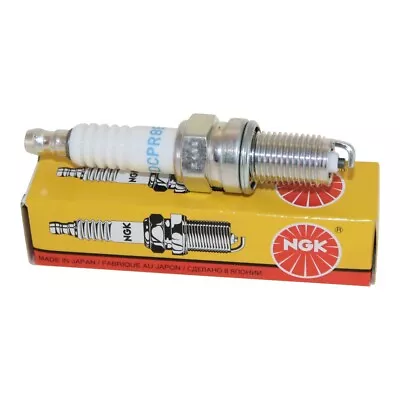 Spark Plug NGK DCPR8E For Explorer Trasher 520 2WD Supermoto 11-14 • $13.75