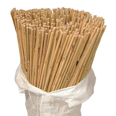 2ft3ft/4ft/5ft/6ft/7ft Bamboocanes Strong Thick Pole Garden Stakes Plant Support • £9.98