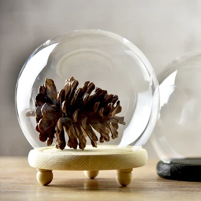 £10.95 • Buy S/Large Glass Dome With Wood Base DIY Craft/Fairy Light Display Cloche Bell Jar