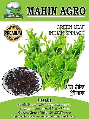 10  Gram  Pui Shak Green Spinach  Indian Spinach Green Leaf Seeds • $6