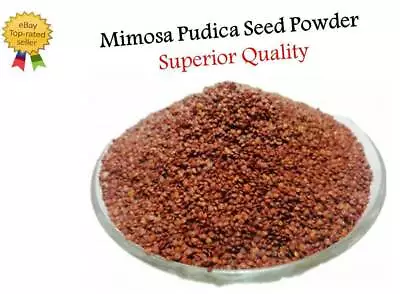 Mimosa Pudica Seed Powder Lajwanti Churn 50g-2Kg Organic Dormilones Humble Plant • $59.99