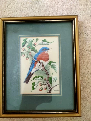 £10 • Buy J & J Cash Woven Pictures Eastern Bluebird 