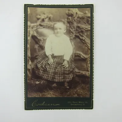 Cabinet Card Photograph Boy In Plaid Skirt Cochran Springfield Ohio Antique • $9.99