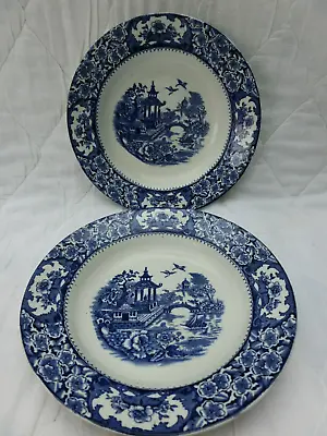 2 Vintage Olde Alton Ware 'Blue White Willow Pattern 9  Shallow Dinner Plates • £10