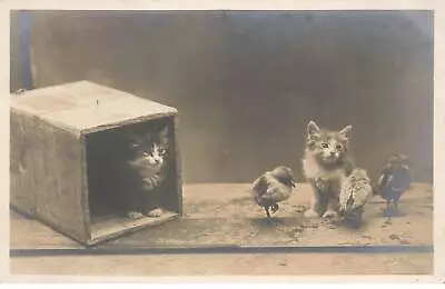 Cats Ag#mk802 Two Kittens And Three Chicks • $7.56