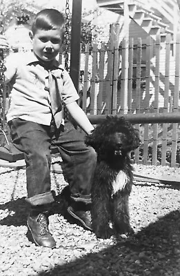 Vintage Photo Portuguese Water Dog Cute Young Boy On Swing Backyard • $5