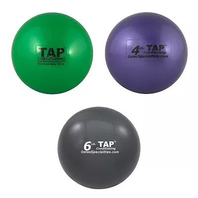 TAP Mini-Medicine Ball Set • $74.68