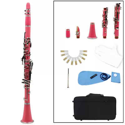 Nickel Plated ABS 17Keys BB Flat Soprano Oboe Clarinet Assorted Colors Available • $260.85