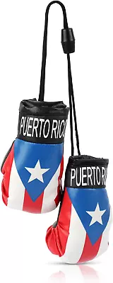 Country Flag Mini Boxing Gloves - Hanging Punching Gloves • $17.99
