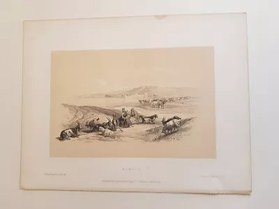 Egypt Archaeology Ashdod David Roberts Holy Land Original Lithograph 1860 • £12.95