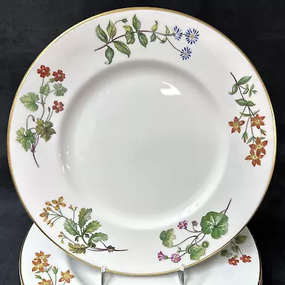 Minton MEADOW Dinner Plate 10 5/8 Inches • $9.75