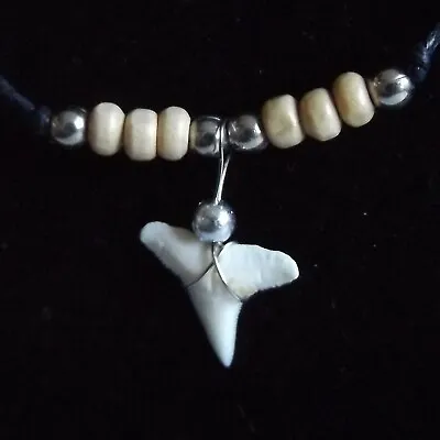 £4.49 • Buy Real Shark Tooth Necklace Pendant Sharks Teeth  With Black Cord Beads Adustable