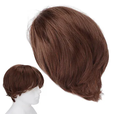 Men Short Light Brown Wig Male Short Straight False Hair Full Wig For Costum Cus • $11.36