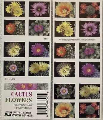 BOOKLET Of 20 USPS Cactus Flowers Forever Postage Stamps (MNH) Floral Desert • $11.89