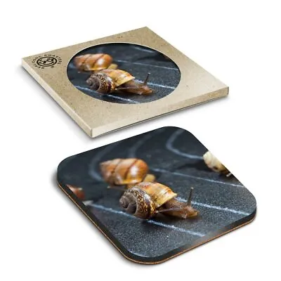 1 X Boxed Square Coasters - Racing Snails Race Ny Insect Snail  #24221 • £3.99