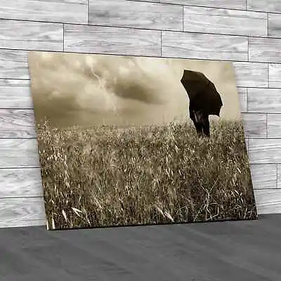 Watch Lightning In Field Canvas Print Large Picture Wall Art • £27.95