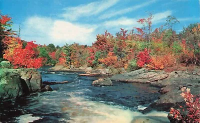 Postcard Cold River Along Mohawk Trail Massachusetts Autumn Leaves Vintage • $4.49