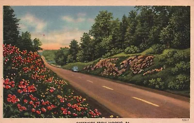 Postcard PA Moosic Greetings Flowered Roadway Linen Unposted Vintage PC H8536 • $4