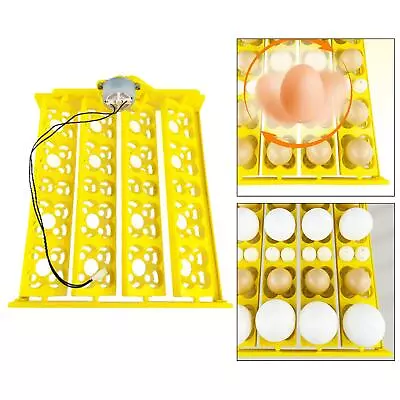 Automatic Egg Incubator Tray Egg Turner Tray Accessory For Chicken Quail • £15.66