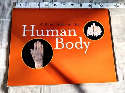 A Brief Atlas Of The Human Body • $2