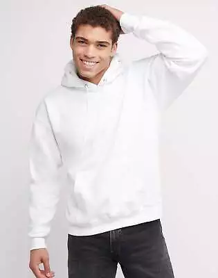 Hanes Hoodie Men's Sweatshirt Ultimate Heavyweight Cotton Tagless Pockets S-3XL • $20