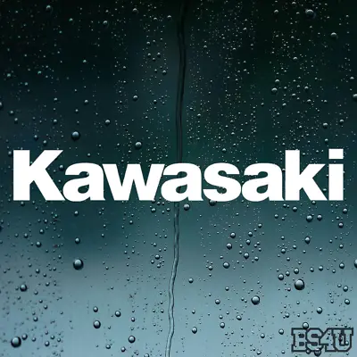 Kawasaki Vinyl Decal Sticker - Pick Size And Color - Same Day Shipping! • $2.99