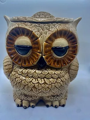 Vtg 1978 Double Sided Owl Ceramic Cookie Jar Canister  Sleepy Eyes 9” • $37.99