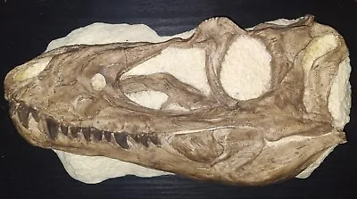 Juvenile T-Rex Skull Fossil Replica In Matrix. Museum Quality.  • £284.98