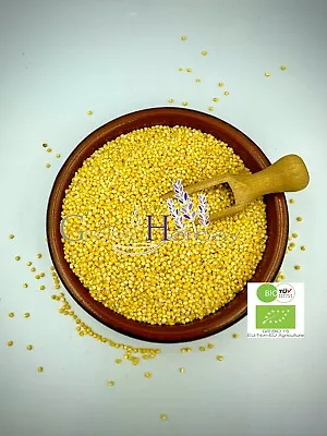 Organic Whole Pearl Millet Seeds 20g(0.70oz)-4.9kg(10.80lbs) Seeds Golden Pearls • £49.50