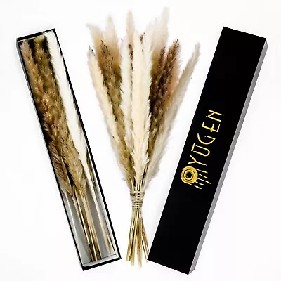 YUGEN Natural Dried Pampas Grass - White Cream Brown Bouquet Pack Of 39 Stems  • £7.99