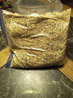 5lbs  Birdseed/Rye/Millet Berries Grain  Spawn Mushroom Substrate  • $16