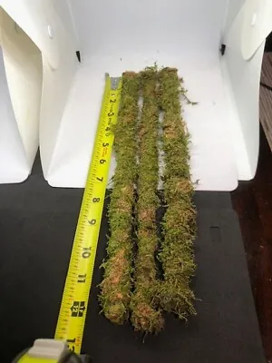 12 In Organic Sheet Mossed 1/4 In Poles For Your Terrariums Or Plants Set Of 3 • $12.99