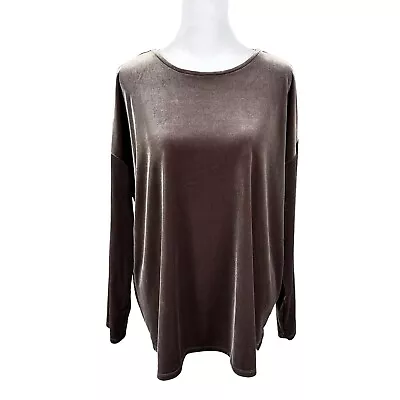 J. Jill L Taupe Velvet Velour Long Slv Pullover Top Stretch Classic Minimalist • $17.46