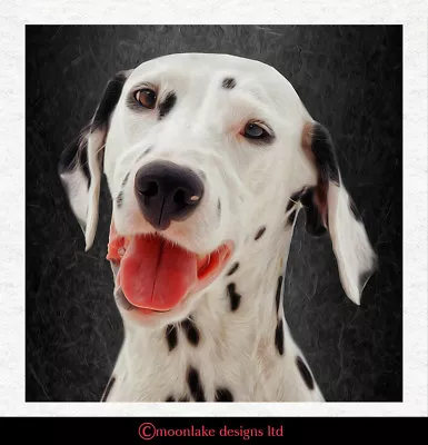 Dog - Dalmatian - Fabric Craft Panels In 100% Cotton Or Polyester • £2.45