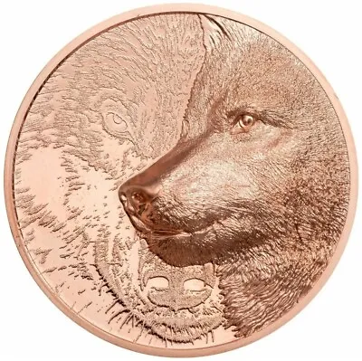 2021 250 Togrog Mongolia MYSTIC WOLF Ultra High Relief 50g Cooper Coin. • $54.95