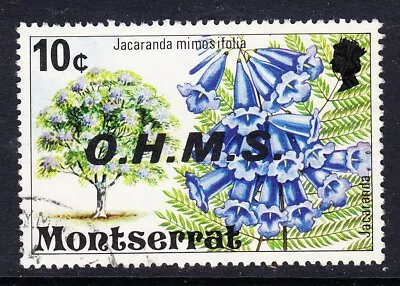 Montserrat: Flowering Trees Jacaranda Mimosifolia Jacaranda OHMS Used P773 • £0.99