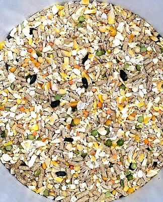 Chicken Duck Wild Bird Seed Feed Food Rabbit Hamster Pigeon Mice Rat Premium • $7.97