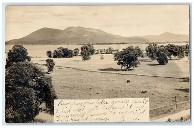 C1903 Mountain Ranch Horse View Lakeport California CA RPPC Photo Postcard • $39.97