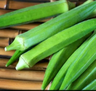 VEGETABLE - OKRA -SEEDS -indian  OKRA CLEMSON SPINELESSbest Quality Seeds • £1.99