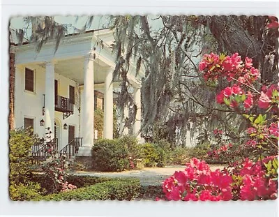 Postcard Boone Hall Plantation Mount Pleasant South Carolina • $8.39