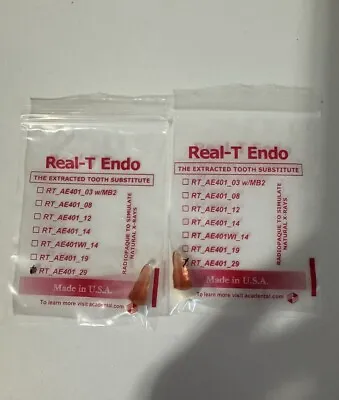 Acadental #29 Real-T Endo - Extracted Tooth Substitute Pack Of 2 • $35