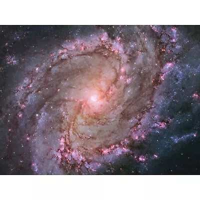 Hubble Space Telescope Spiral Galaxy M83 Star Formation Wall Art Print 18X24  • $18.99