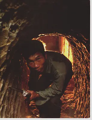 1995 Vintage Print Photo Vietnam War Marine 1968 Viet Cong VC Soldier Tunnel • $24.88